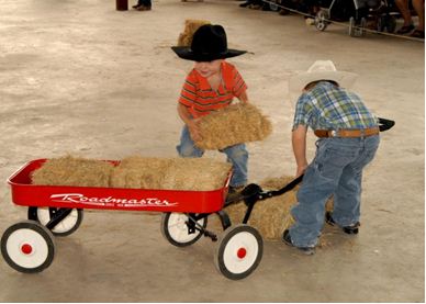fall-festivities-gates-ranch