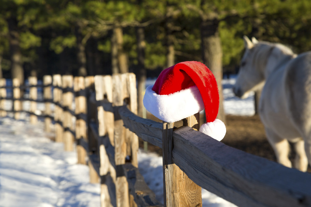 GR Holiday Horse & Hat